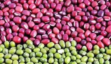 贼豆子产生的原因是什么 贼豆子能吃吗