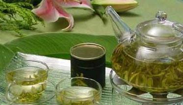 茶叶种植方法