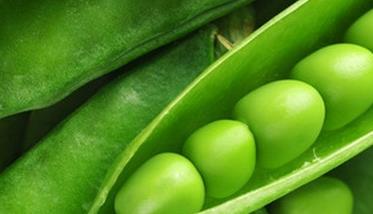 荷兰豆的营养价值与功效 荷兰豆的营养价值与功效是什么