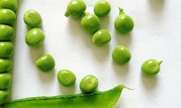 豌豆的营养价值和营养成分 豌豆的营养成分有哪些