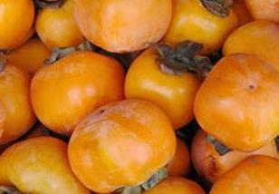 吃柿子有什么好处－柿子的美容功效 吃柿子的好处有哪些