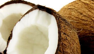 椰子的营养价值有哪些 椰孑的营养价值