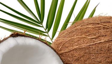 椰子的营养价值与功效有哪些 椰子营养价值是什么