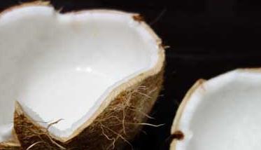 椰子的营养价值与食用功效 椰子的营养价值与食用功效是什么