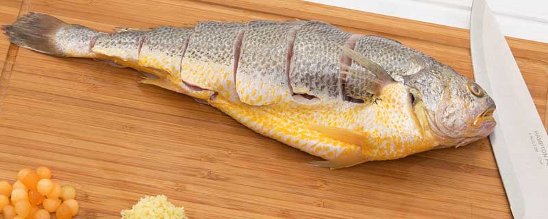 大黄鱼多少钱一斤 大黄鱼多少钱一斤市场价2022