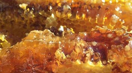 养蜂人怎么打造蜂蜜品牌 养蜂农牌子的蜂蜜