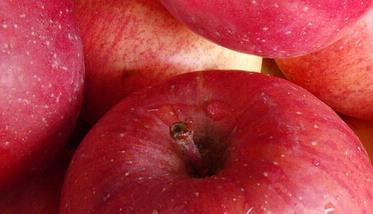 吃苹果有什么好处,功效有哪些 吃苹果有什么好处功效有哪些