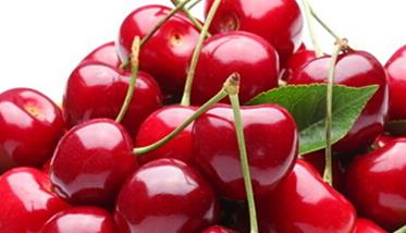 樱桃的营养价值和功效作用 樱桃的使用价值和营养功效