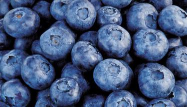 蓝莓的营养价值与功效（蓝莓的营养价值与功效是什么）