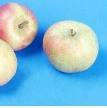国光苹果功效与作用 吃国光苹果对身体有什么好处