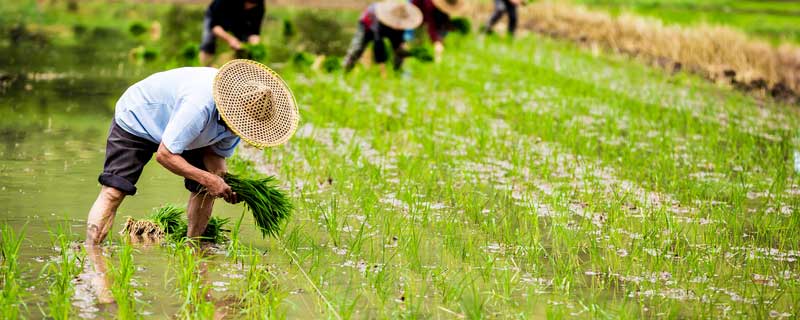 劳动节法定节假日是几天 劳动节法定节假日是几天2022