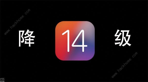 ios14怎么降级 降级到iOS13操作方法[多图]图片1