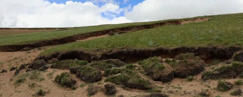 影响土壤侵蚀程度的因素主要有哪些 影响土壤被侵蚀程度的因素有