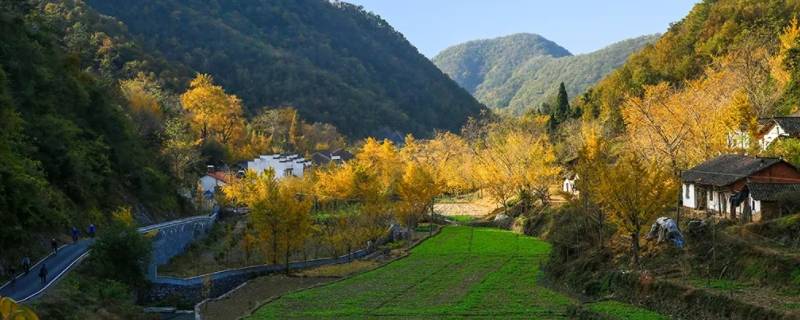 钱冲村是哪个省市 湖北钱冲村