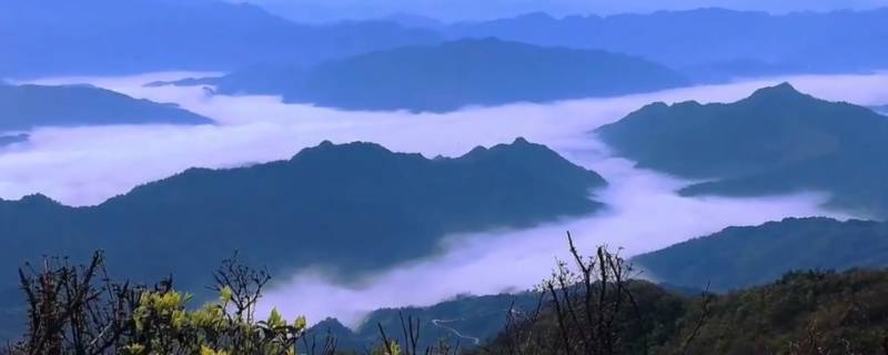 雪峰山主峰在哪个县（雪峰山在什么地方）