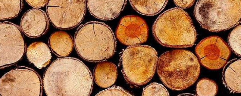 影响木材强度的因素有哪些（影响木材强度的因素有什么）