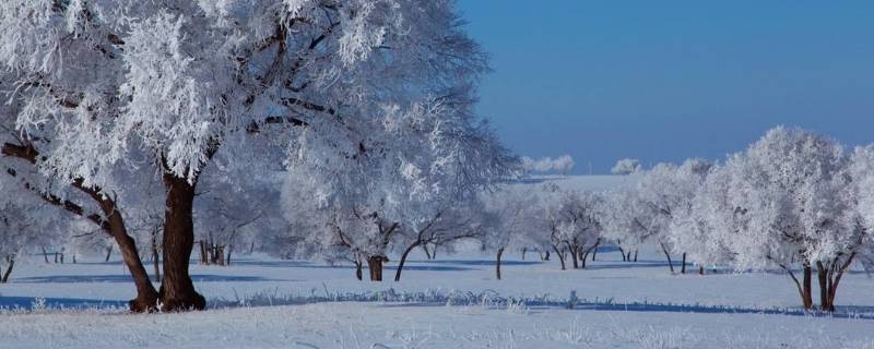 冬天的自然现象 冬天的自然现象有哪些特点