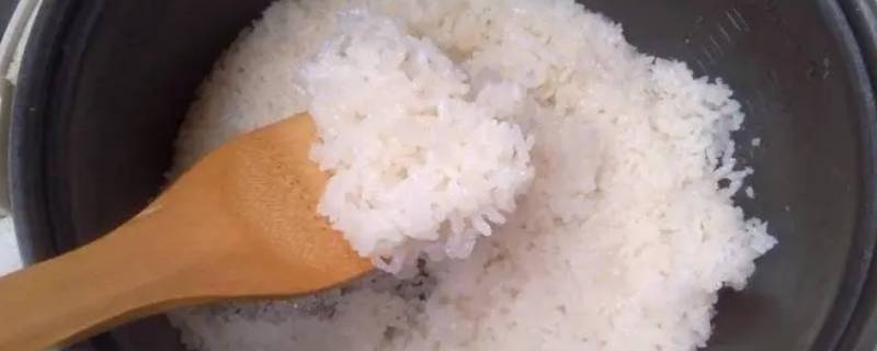 热米饭需要加水吗（米饭热饭需要加水吗）
