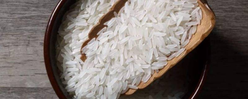 油粘米是什么米 马坝油粘米是什么米