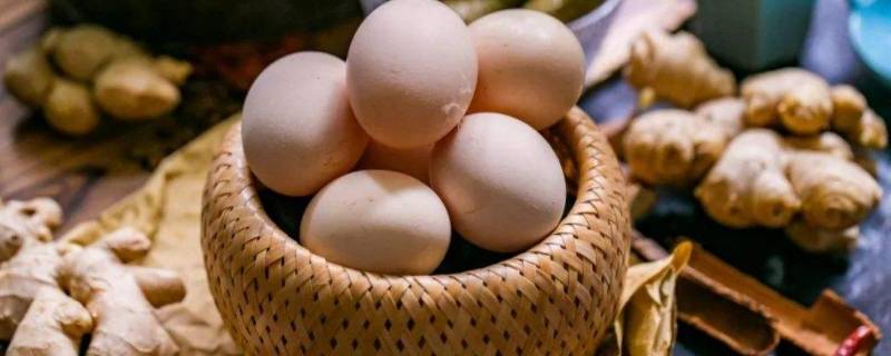 无精蛋和有精蛋的区别（无精蛋和有精蛋哪个营养价值高）