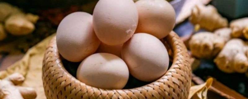 有精蛋和无精蛋的区分方法（有精蛋和无精蛋的区别）