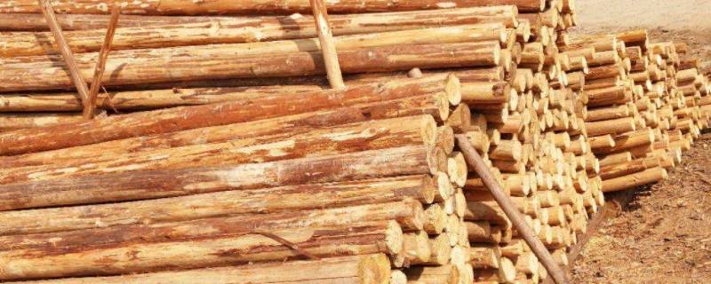 简述木材的腐朽原因及防腐方法 试述木材腐蚀的原因及防腐措施