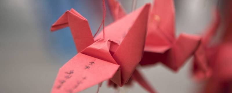 送千纸鹤的寓意是什么 女生送千纸鹤的寓意是什么