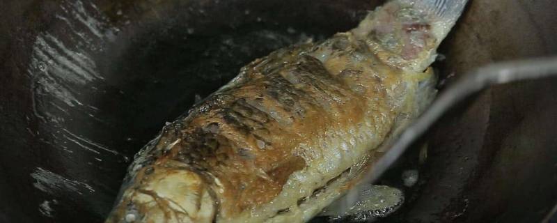 煎鱼是热锅冷油还是冷锅热油（煎鱼的时候是热锅冷油还是冷锅冷油）