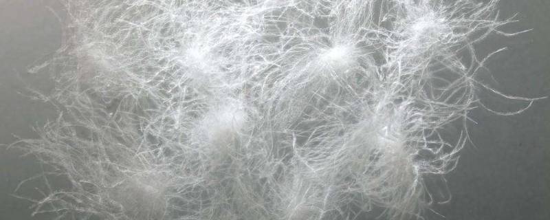 白羽绒是什么材质 亮面白色羽绒服属于什么材质