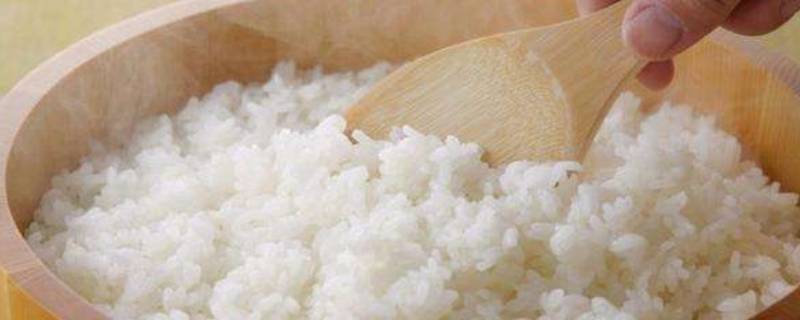 剩米饭怎么保存 剩米饭怎么保存在冰箱