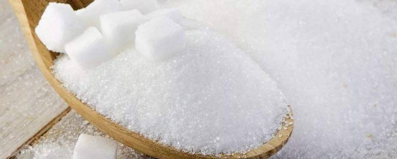 白砂糖保质期（白砂糖保质期一般是多久）