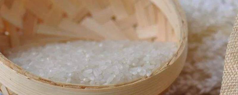 硒米跟大米有什么区别 硒米和西米的区别