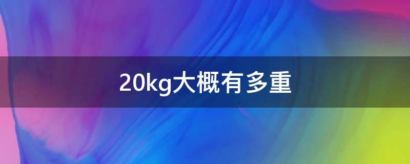 20kg大概有多重 20kg大约有多重