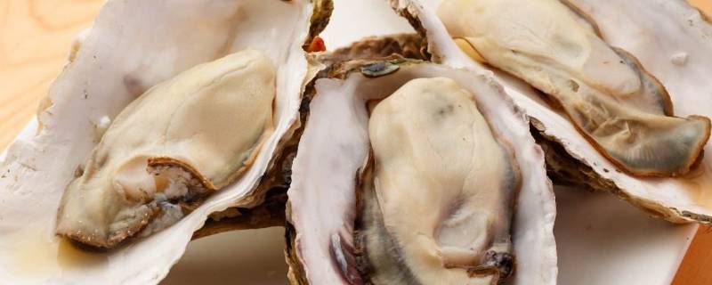 乳山牡蛎怎么保存 牡蛎的保存方法牡蛎肉怎么保存