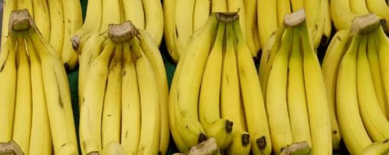香蕉是什么形状 香蕉是什么形状的水果