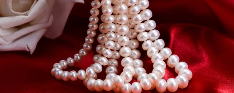 马贝珠和珍珠的区别（马贝珠和珍珠的区别马贝珠的价格）