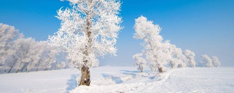 冬天有什么景色和现象 冬天有什么景色和现象图片