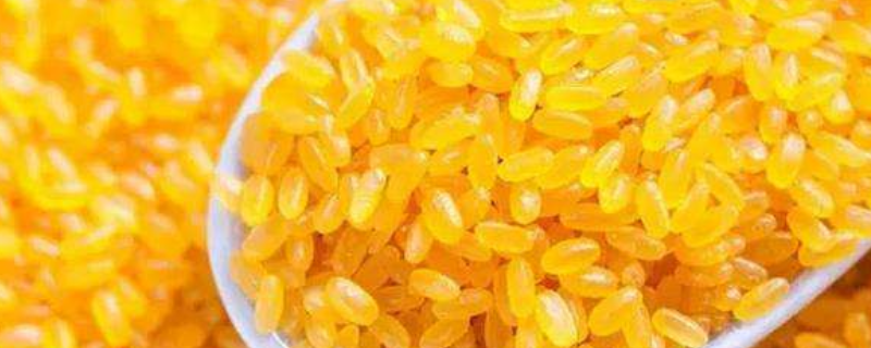 黄颜色的大米是啥米（黄颜色的大米是什么米）