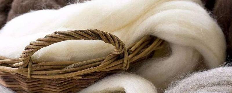 wool是羊绒还是羊毛 wool是羊绒吗