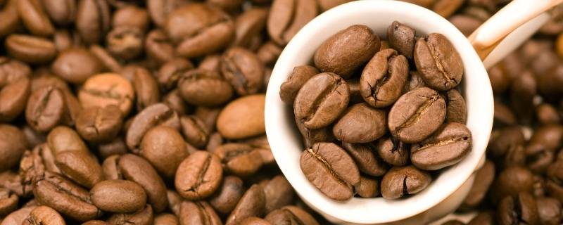 咖啡豆品种（瑞幸咖啡豆品种）