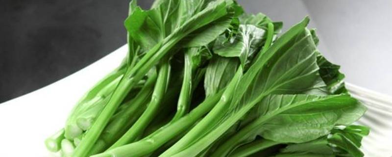 新鲜绿叶菜可以在冰箱里保存多久 新鲜绿叶菜可以在冰箱里保存多久呢