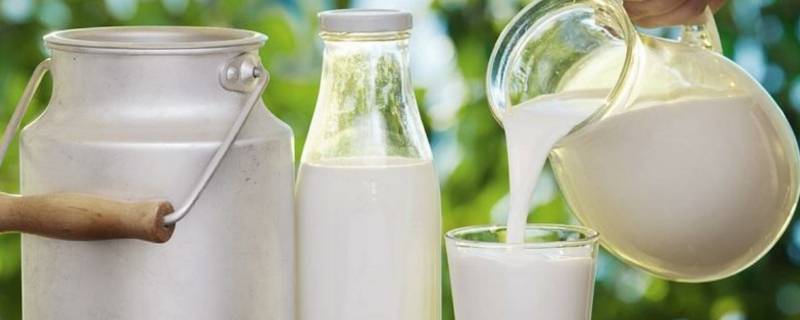 纯牛奶的产品标准代号是什么 纯牛奶的商品编码