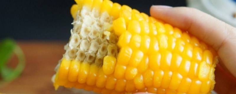 玉米是碱性食物吗 玉米是碱性还是酸性食品