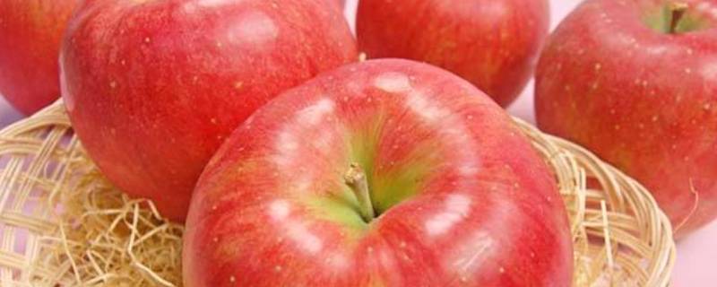 面苹果有哪些品种 哪种苹果是面苹果