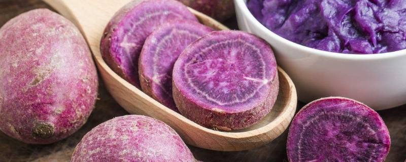 怎样让蒸出来的紫薯不变色 紫薯怎么蒸不变色