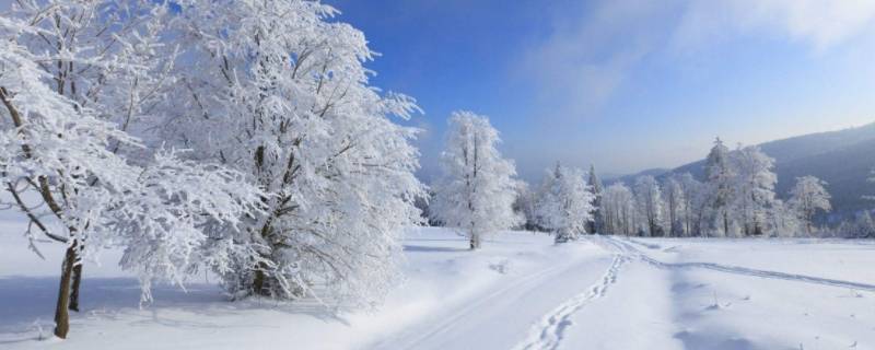 为什么不下雪 上海为什么不下雪