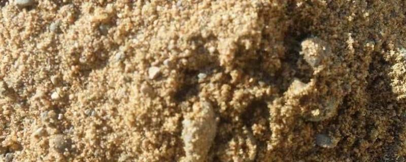 砂的表观密度（砂的表观密度试验操作步骤）