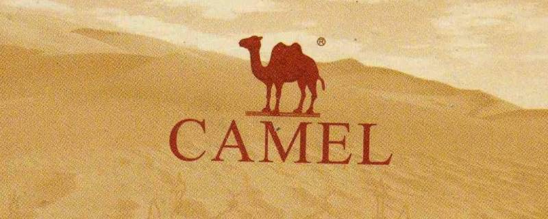 骆驼商标有几种 骆驼商标有几种衣服