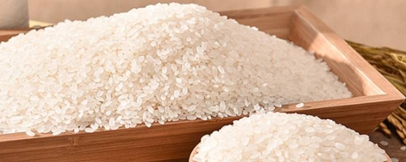 米为什么会生虫 花生米为什么会生虫