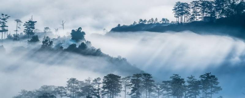 雾是什么样子的 雾是什么样子的图片
